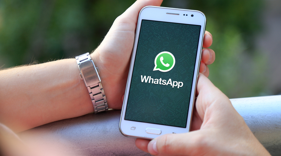 whatsapp for business