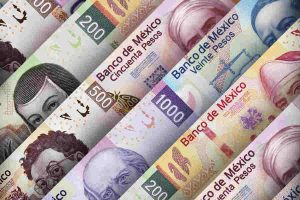 casa de bolsa, el contribuyente,