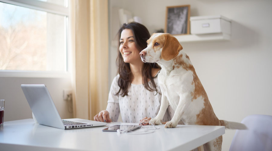 El home office pronto podría estar regulado.