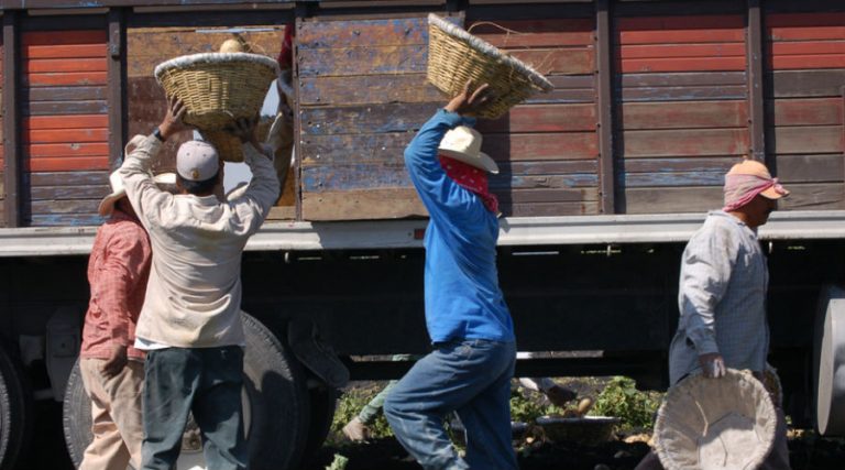 Más de 2 millones de personas se sumaron a la precariedad laboral en 2019
